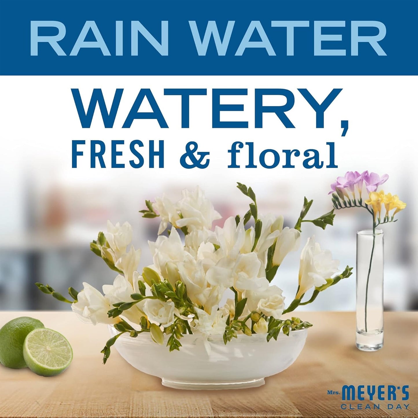 MRS. MEYER'S CLEAN DAY Liquid Dish Soap, Biodegradable Formula, Rain Water, 16 fl. oz