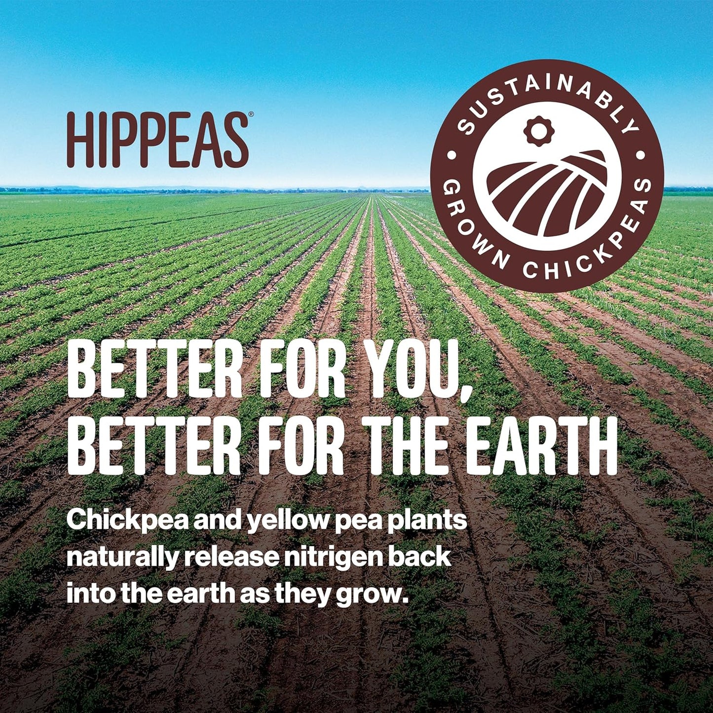 Hippeas Chickpea Puffs, Variety Pack: Groovy White Cheddar, Cheezy Vibes, Barbecue, 0.8 Ounce (Pack of 18), 3g Protein, 2g Fiber, Vegan, Gluten-Free, Crunchy, Plant Protein Snacks