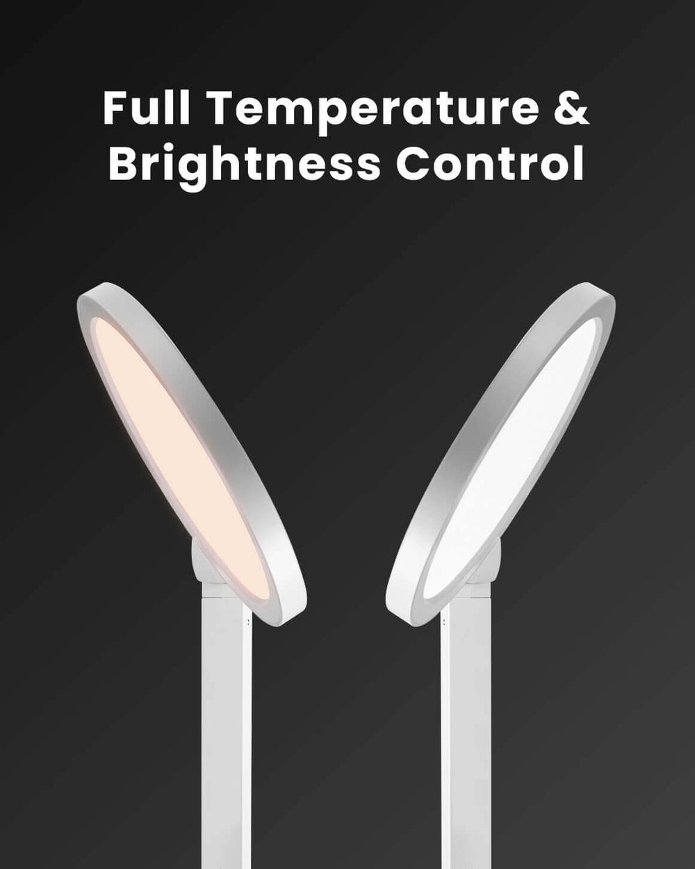 Edge Light 2.0 with Base