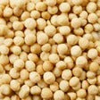 Kirkland Signature Dry Roasted Macadamia Nuts, 1.5 lbs