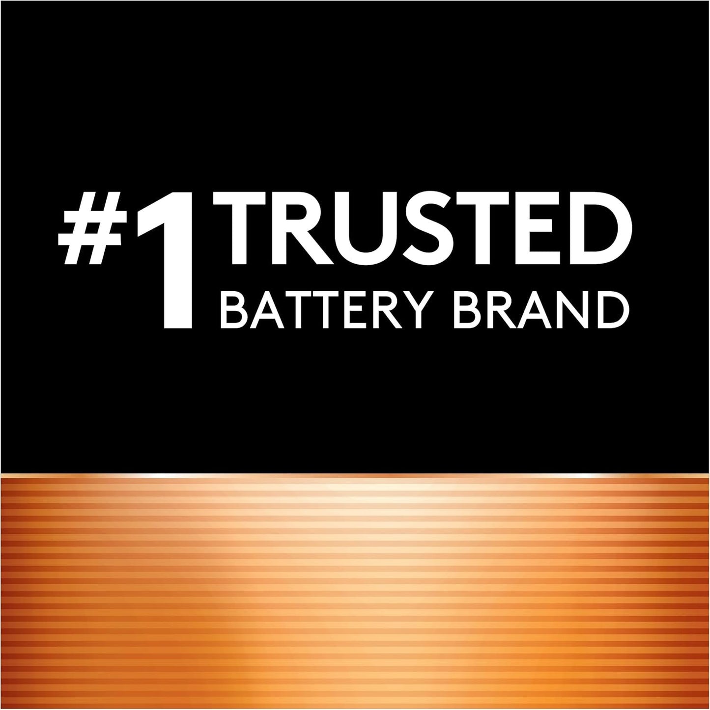 Duracell - CopperTop D Alkaline Batteries - long lasting, all-purpose D battery for household and business - 2 count