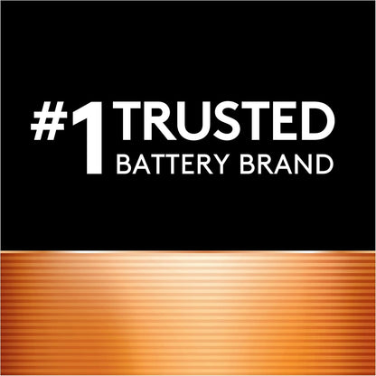 Duracell - CopperTop D Alkaline Batteries - long lasting, all-purpose D battery for household and business - 2 count