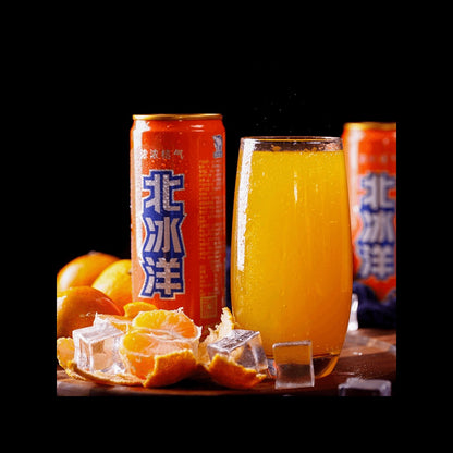 ARCTIC OCEAN 【Value Pack】Orange Soda, 11.15fl oz*6