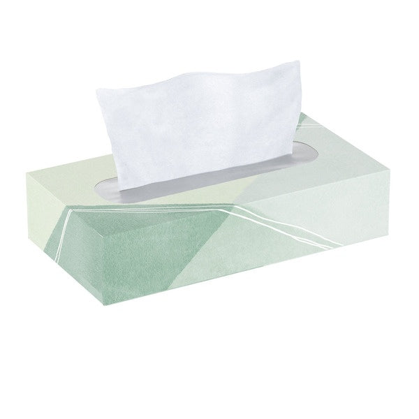 Kirkland Signature Facial Tissue, 2-Ply, Flat Box, 110 Tissues, 30 ct