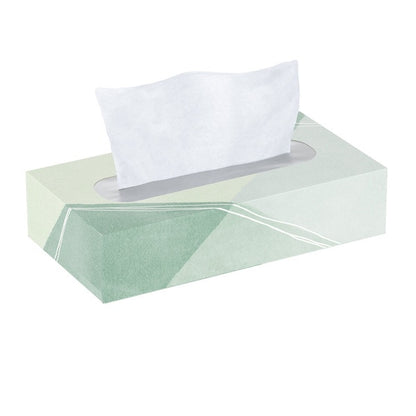 Kirkland Signature Facial Tissue, 2-Ply, Flat Box, 110 Tissues, 30 ct