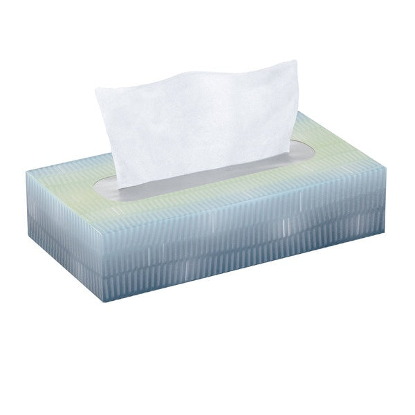 Kirkland Signature Facial Tissue, 2-Ply, Flat Box, 110 Tissues, 30 ct