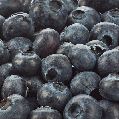 Organic Blueberries, 18 oz